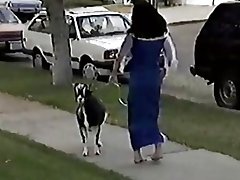 Hunchback на непријатни dames xxx